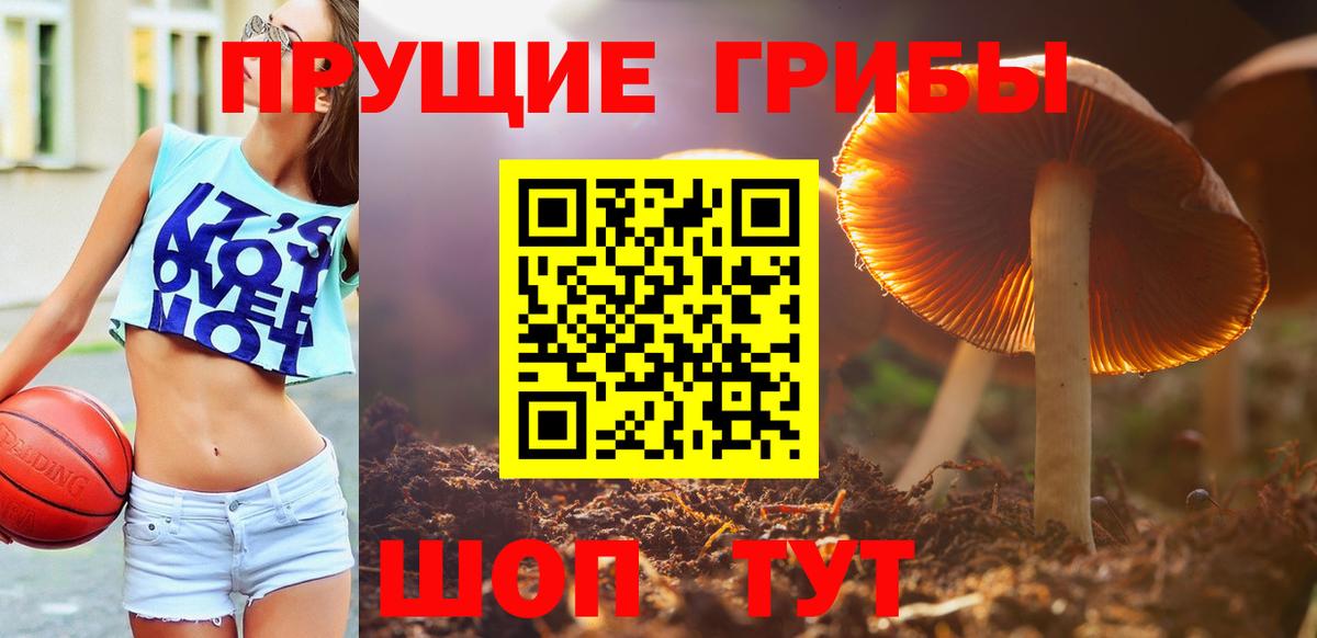 Псилоцибиновые грибы прущие грибы  Вход с VPN  Новошахтинск 